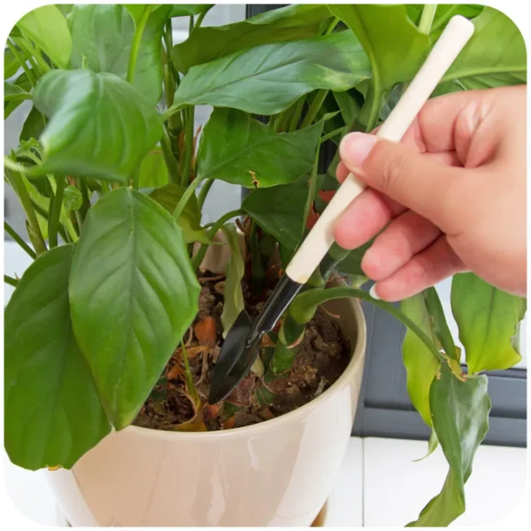 Gardening Kit - 3pcs Mini Shovel Rake Set, Wooden Handle - Image 5