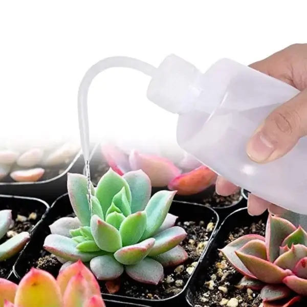 Gardening Kit: 13-Piece Succulent Planting Tools Set - Image 2