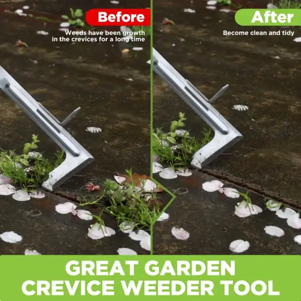 Gardening Kit 3 Pcs Tools with Wood Handle - Image 3