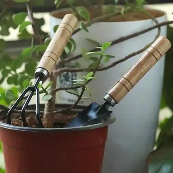 Gardening Kit For Succulents With Rake, Trowel, Shovel - Image 3