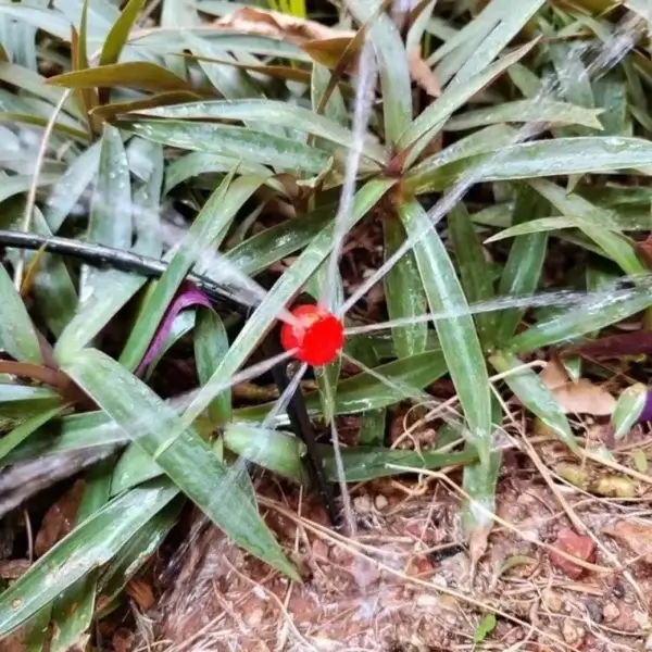 Gardening Kit Automatic Drip Irrigation System - Image 5