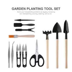 13PCS Gardening Kit for Succulents & Plants