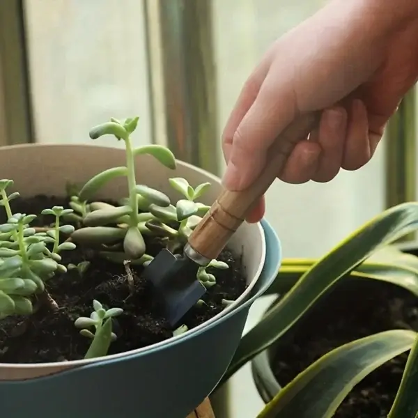 Gardening Kit For Succulents With Rake, Trowel, Shovel - Image 5