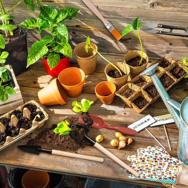 13PCS Gardening Kit for Succulents & Plants - Image 5