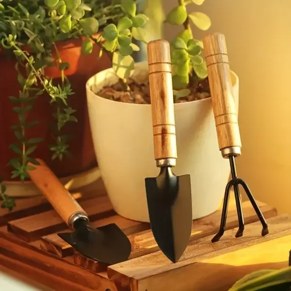 Gardening Kit For Succulents With Rake, Trowel, Shovel - Image 2
