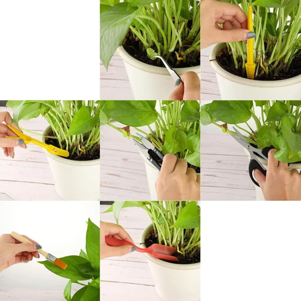 13PCS Gardening Kit for Succulents & Plants - Image 4