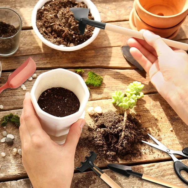 13PCS Gardening Kit for Succulents & Plants - Image 3