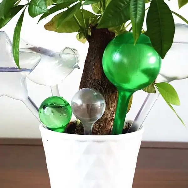 Gardening Kit Self-Watering Bulbs for Plants - Image 3