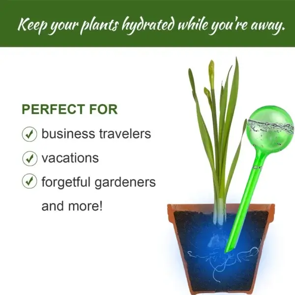 Gardening Kit Self-Watering Bulbs for Plants - Image 2