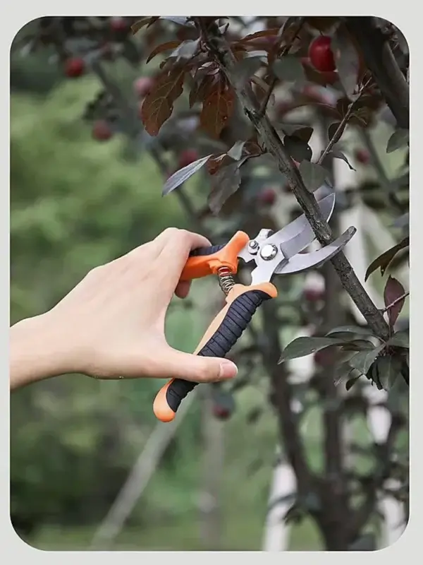 Gardening Kit: 8-Piece Stainless Steel Tools Set - Image 2
